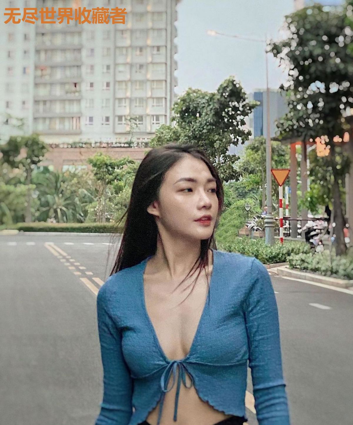 无尽世界收藏者