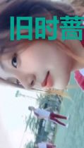 旧时蔷薇花已开