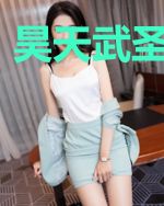 昊天武圣紫天昊
