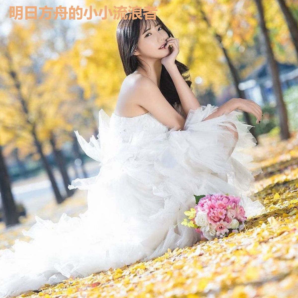 明日方舟的小小流浪者