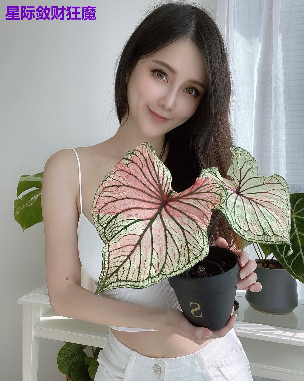 星际敛财狂魔