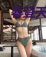 暮登天子室