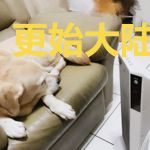 更始大陆，裂变