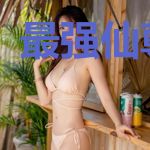 最强仙尊赘婿
