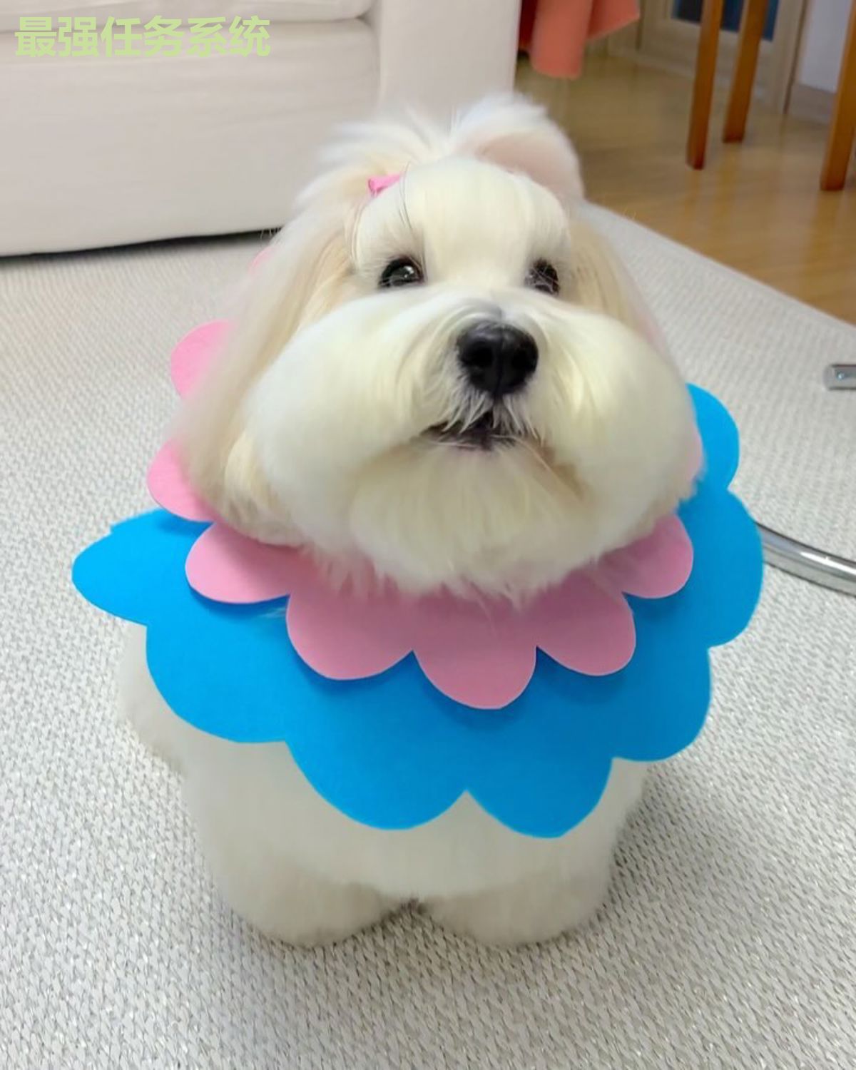 最强任务系统