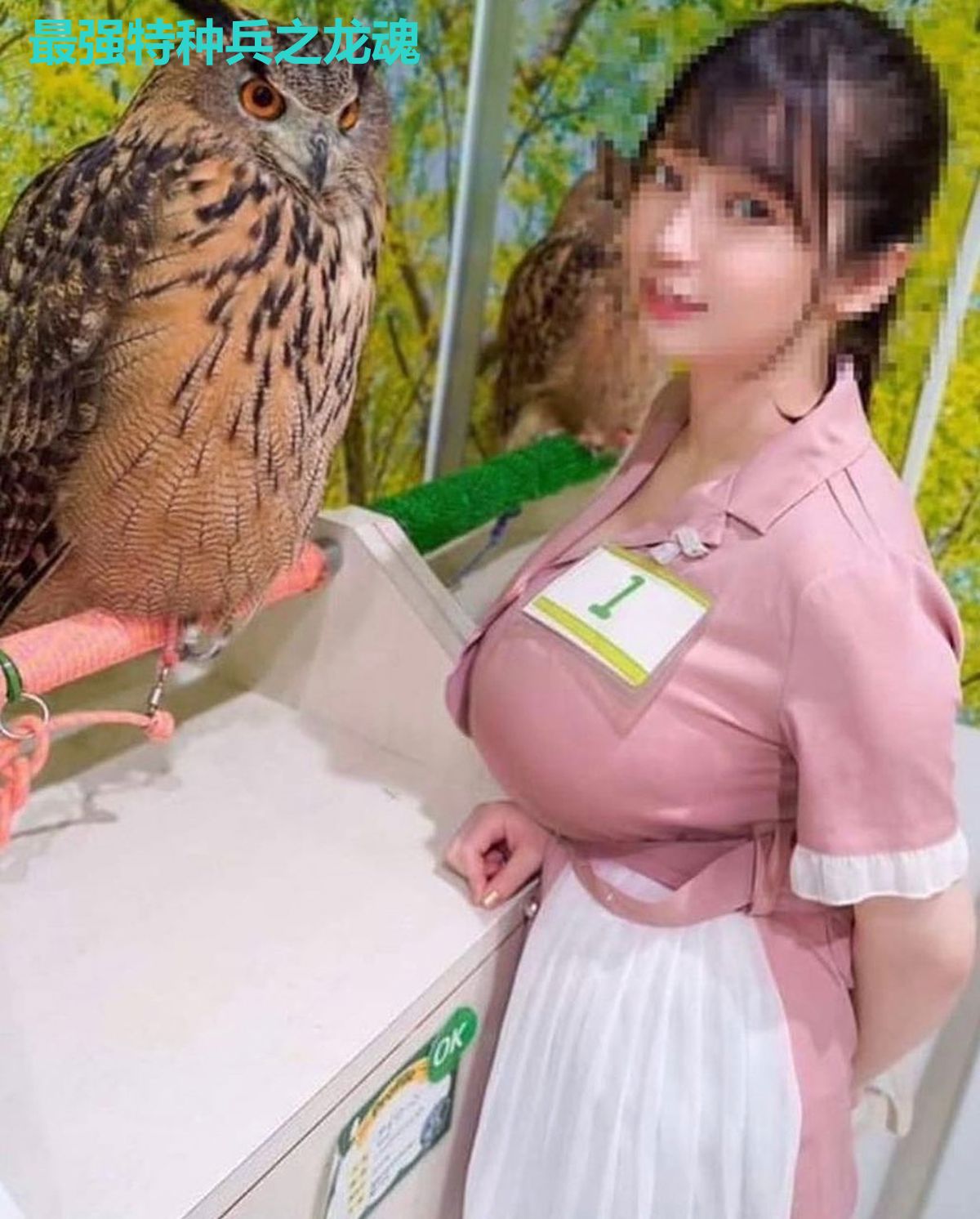 最强特种兵之龙魂