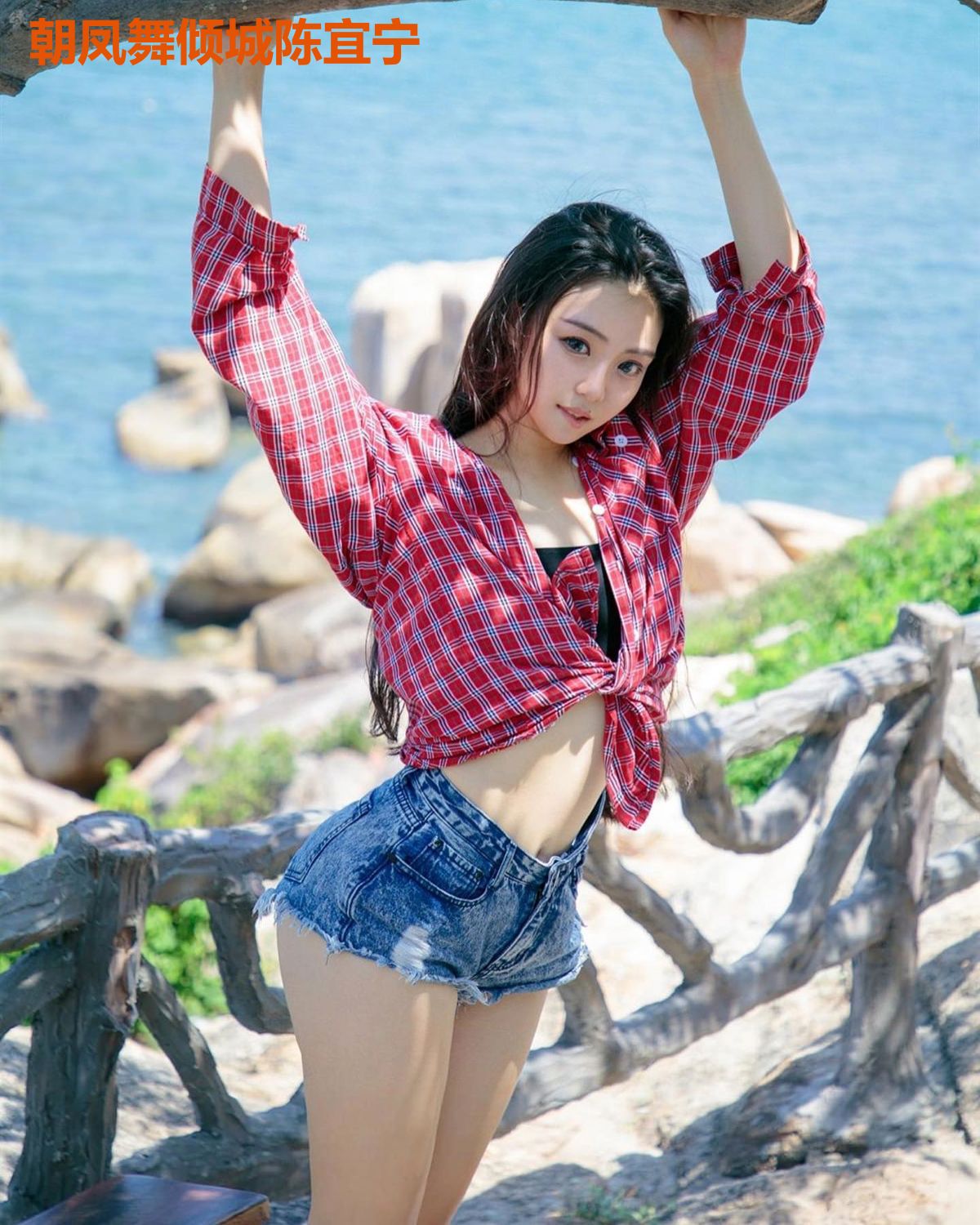 朝凤舞倾城陈宜宁