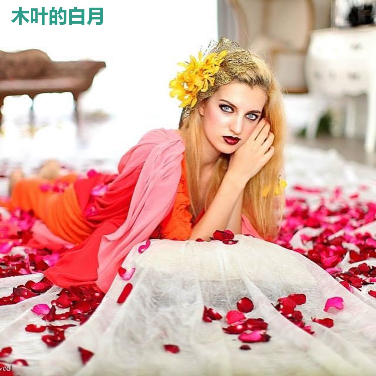 木叶的白月
