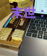 末世：收留房东后我成末日之神了