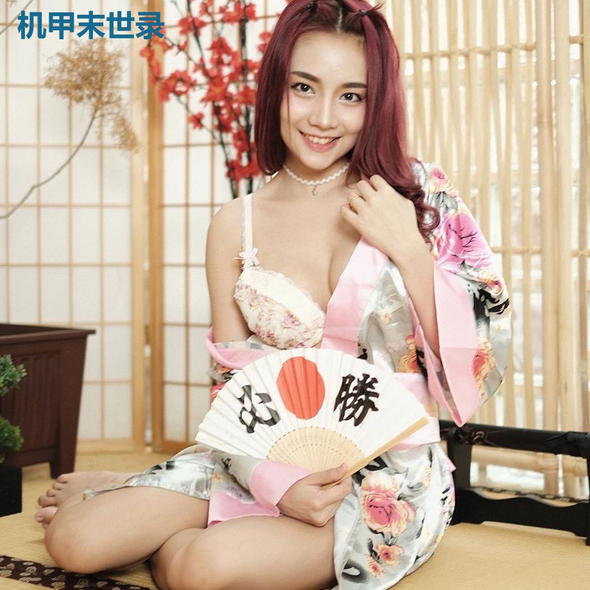 机甲末世录
