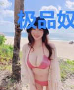 极品奴魔师