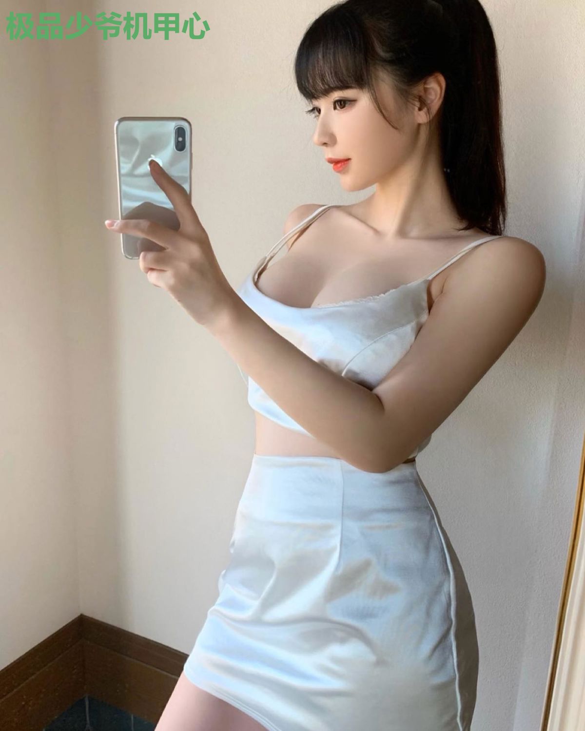 极品少爷机甲心