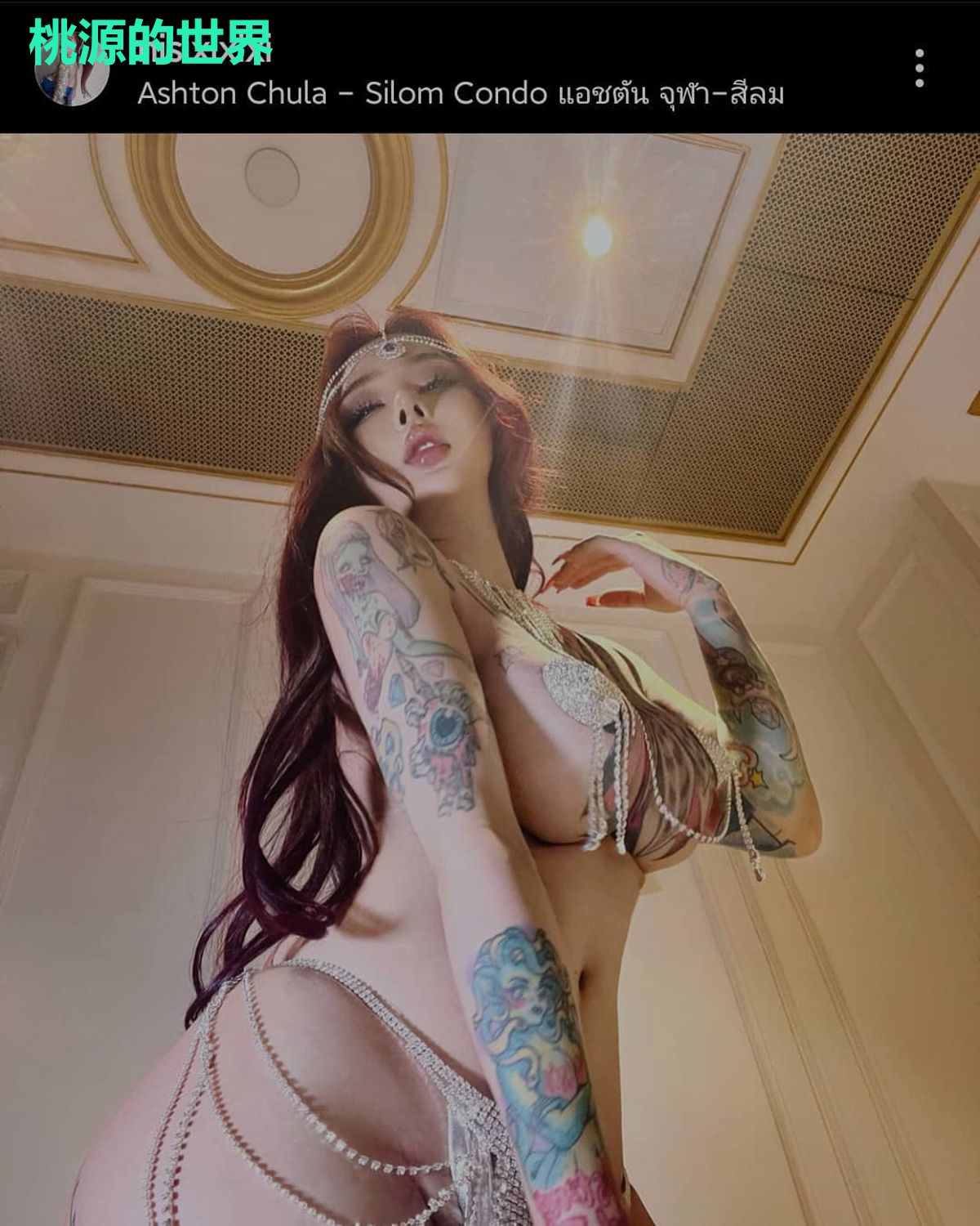 桃源的世界
