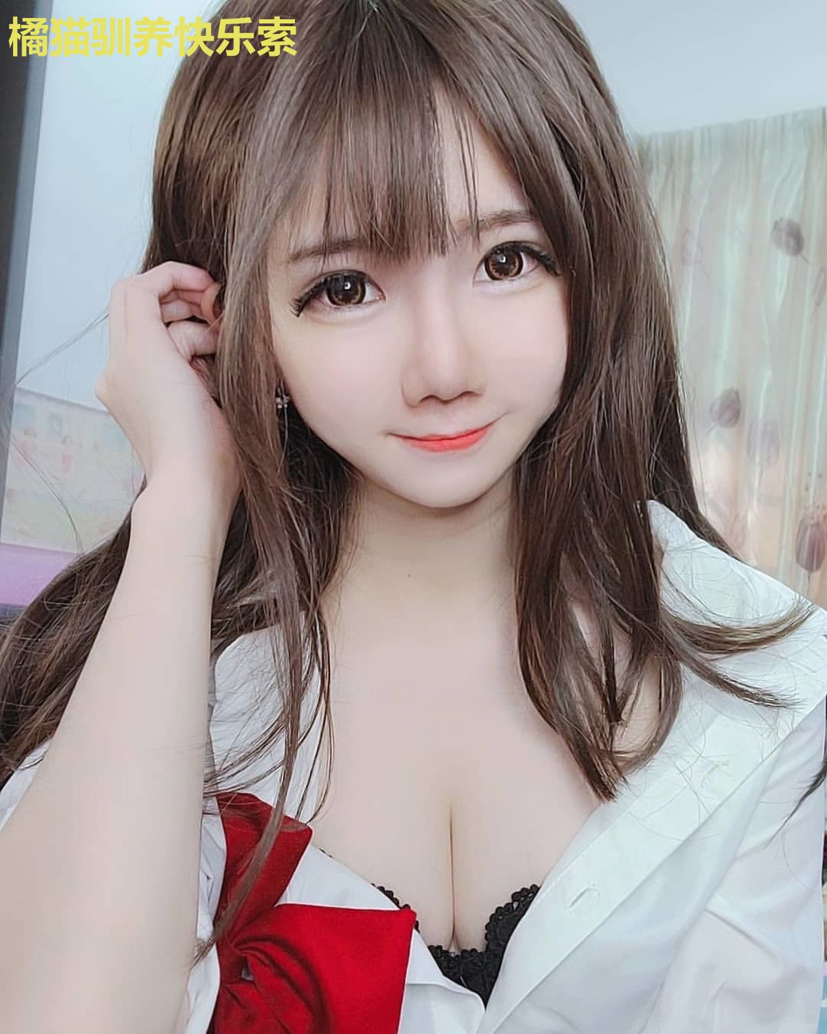 橘猫驯养快乐索