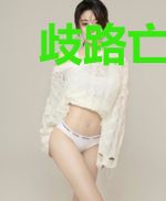 歧路亡灵与银翼双星