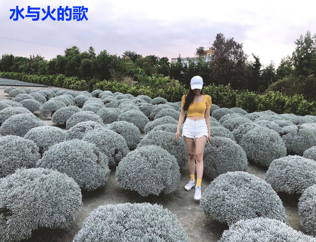 水与火的歌