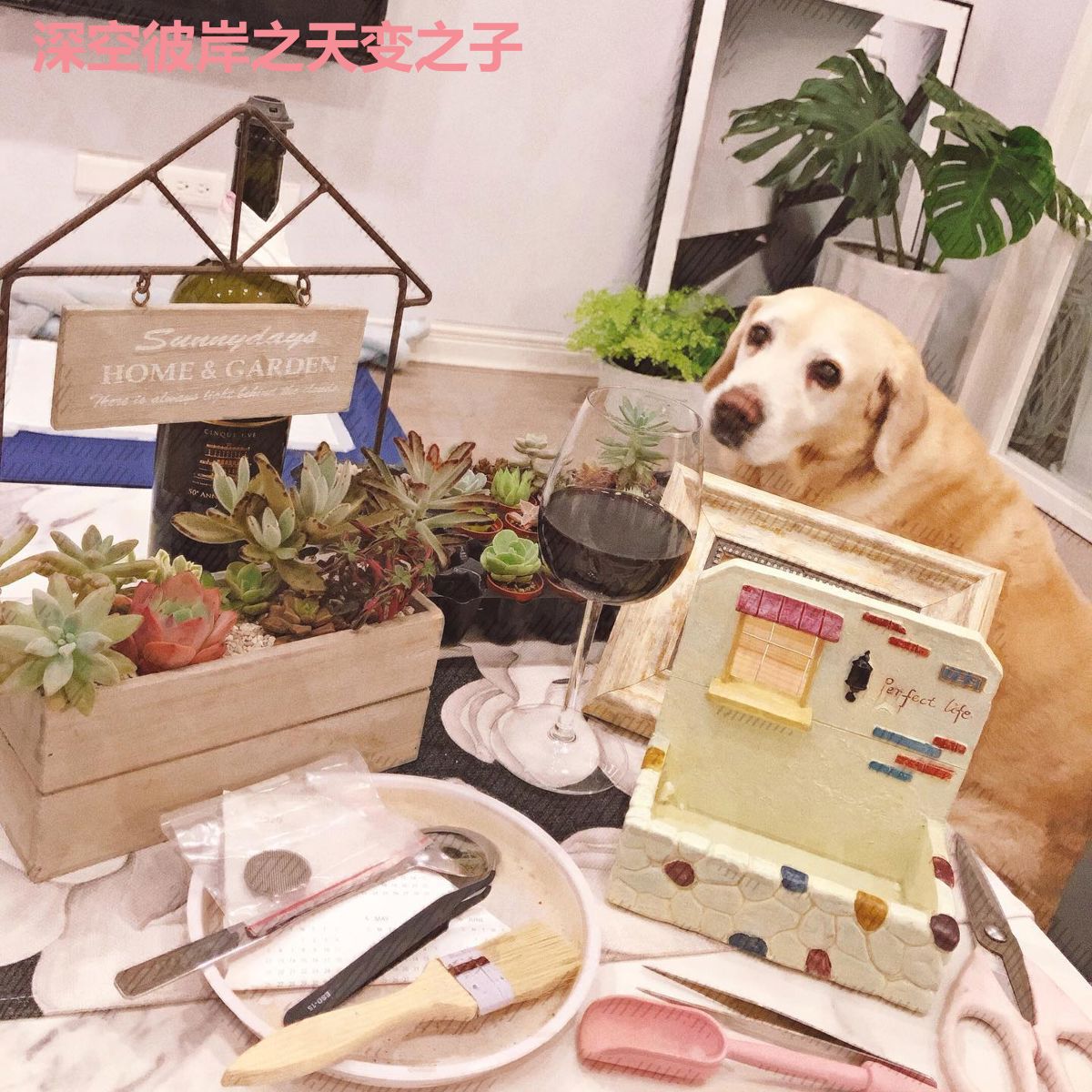 深空彼岸之天变之子