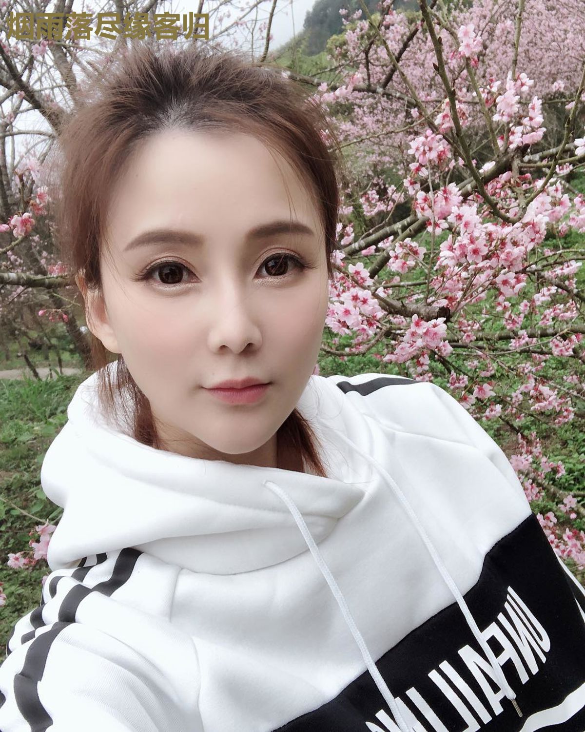 烟雨落尽缘客归