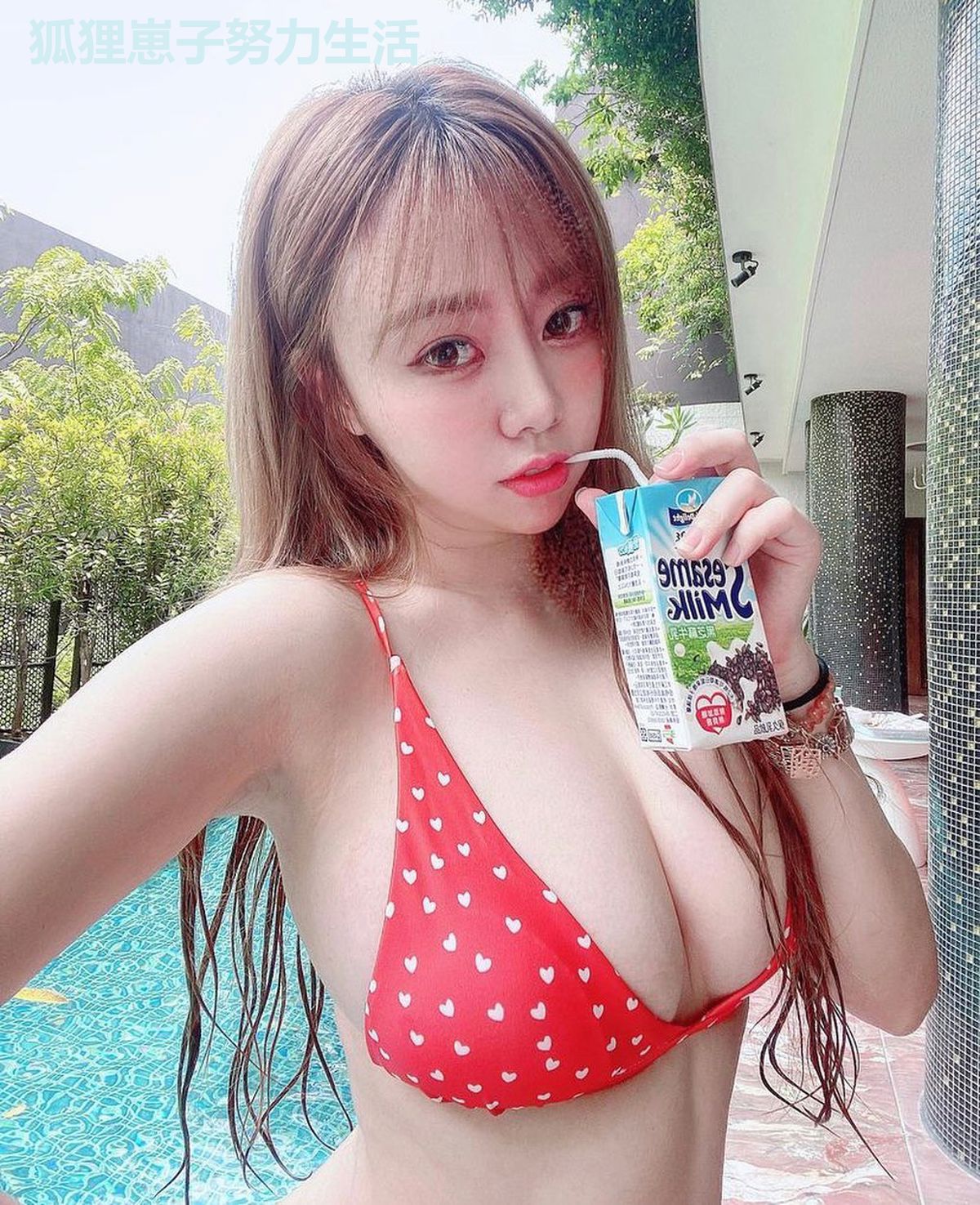 狐狸崽子努力生活