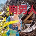 狗男人今天做人了吗？