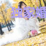 独家婚宠：权少，请放过