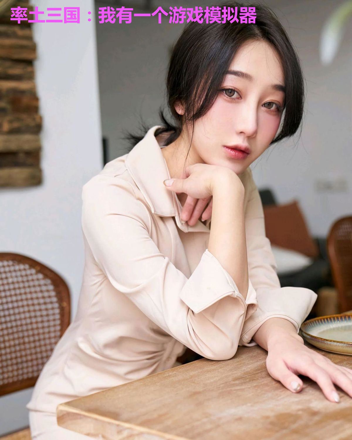 率土三国：我有一个游戏模拟器