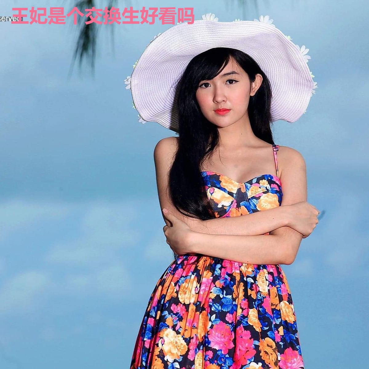 王妃是个交换生好看吗