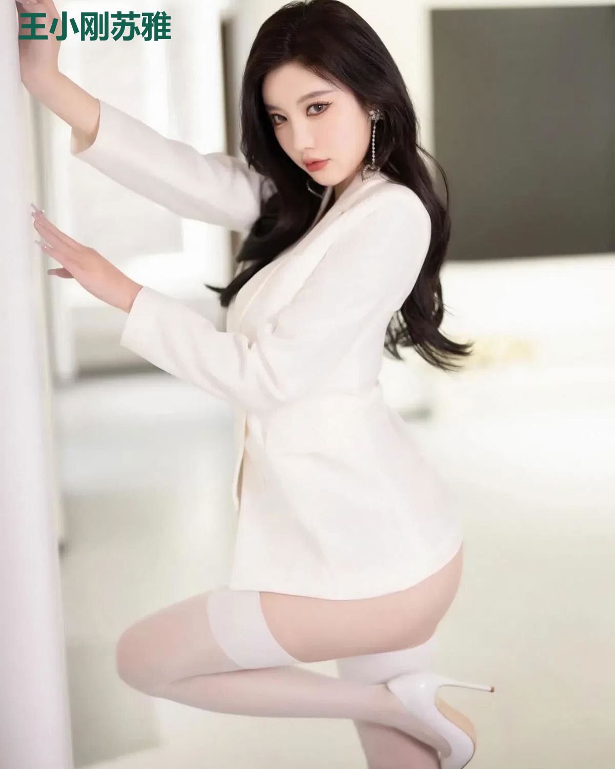 王小刚苏雅