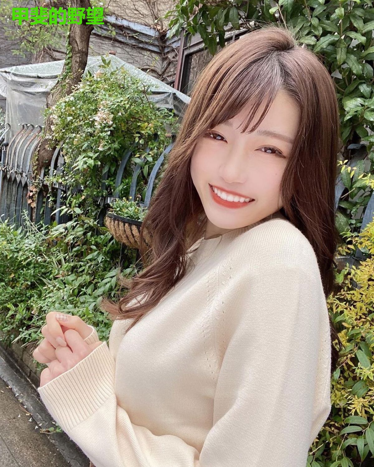 甲斐的野望
