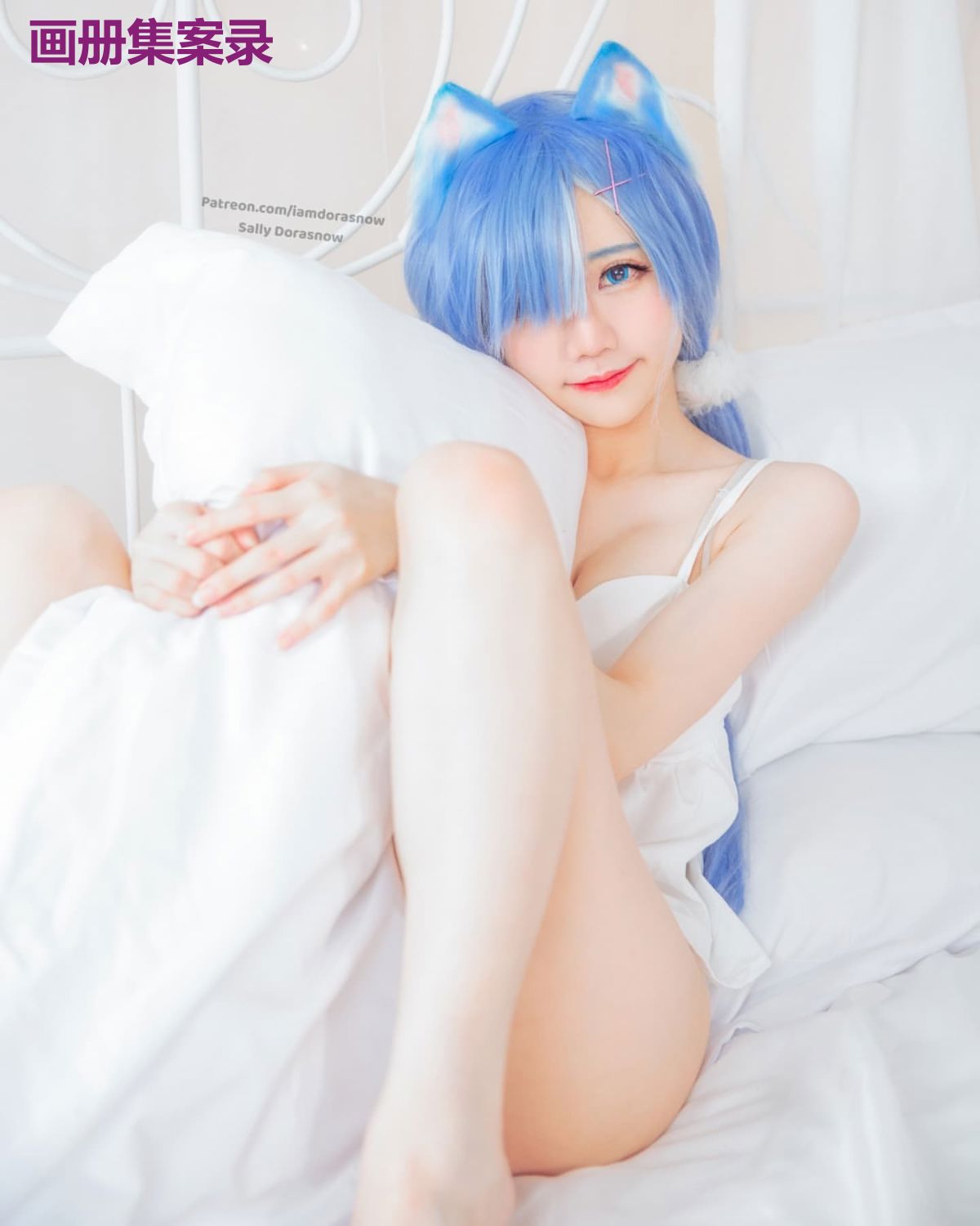 画册集案录