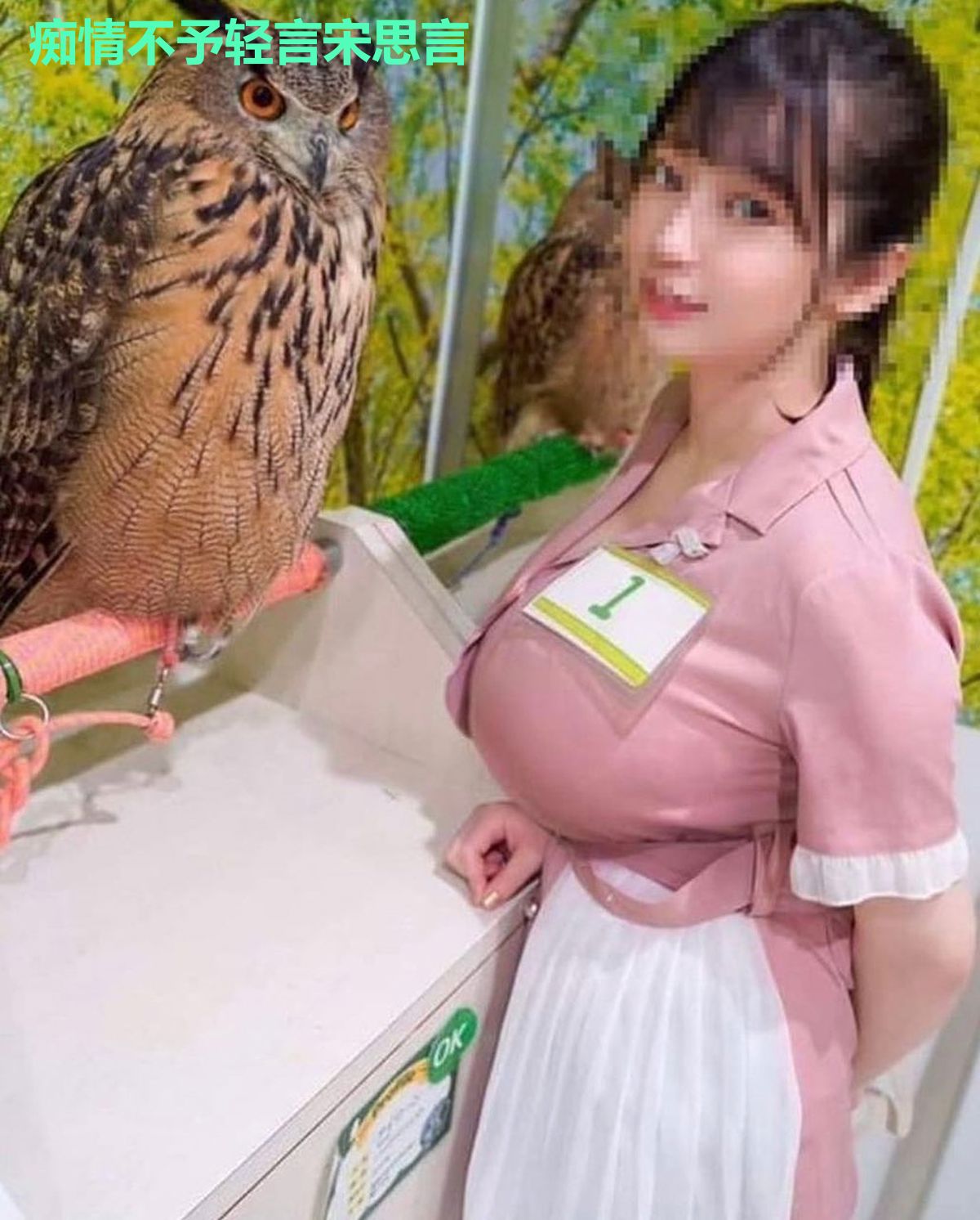 痴情不予轻言宋思言