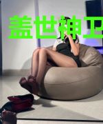 盖世神卫丁采薇