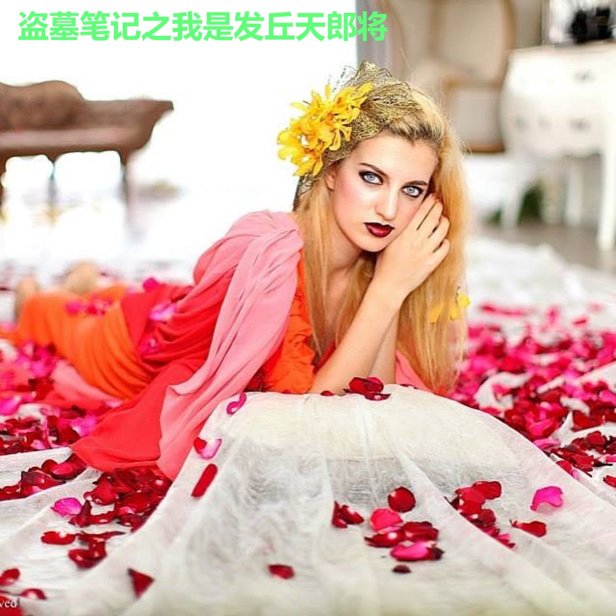 盗墓笔记之我是发丘天郎将