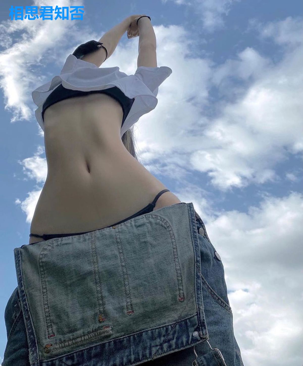 相思君知否