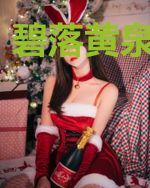 碧落黄泉不见君