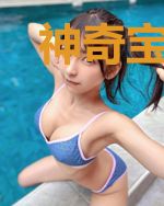 神奇宝贝传