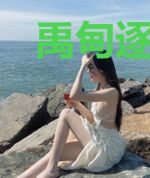 禹甸逐鹿记