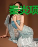 秦炎项语嫣