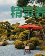 精灵养成大不容易