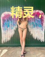 精灵，怪物，训练家