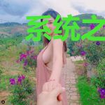 系统之究极反派叶辰
