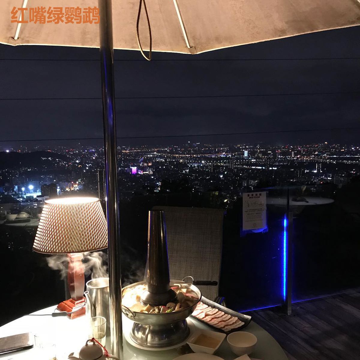 红嘴绿鹦鹉
