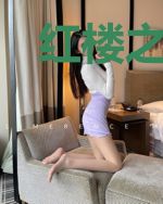 红楼之宠妃