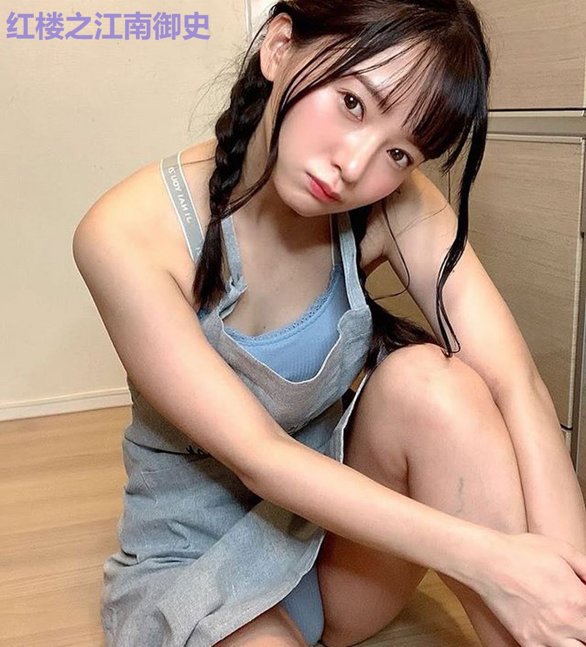 红楼之江南御史
