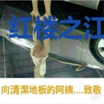 红楼之江南御史