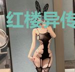 红楼异传之错梦