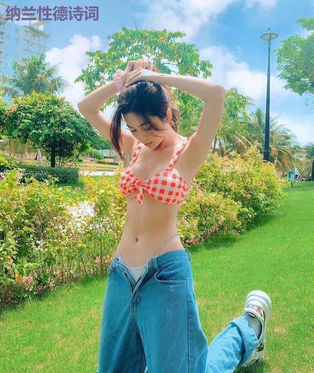 纳兰性德诗词
