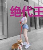 绝代王妃步步傲歌