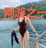 网游之一粒凡尘
