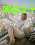 网游之十二星宫